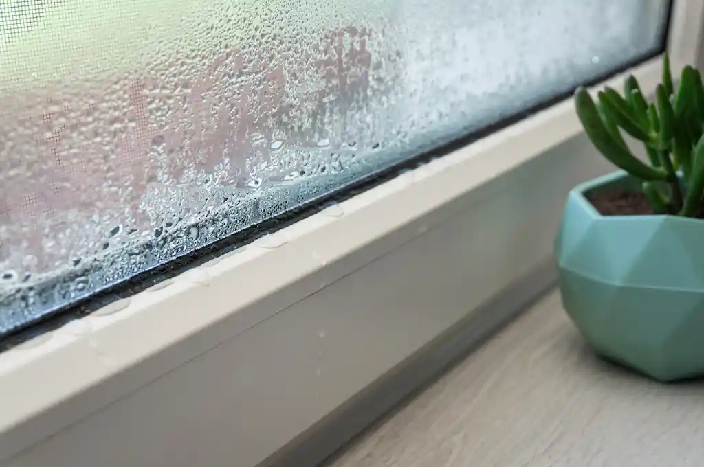 entretenir ses fenetres